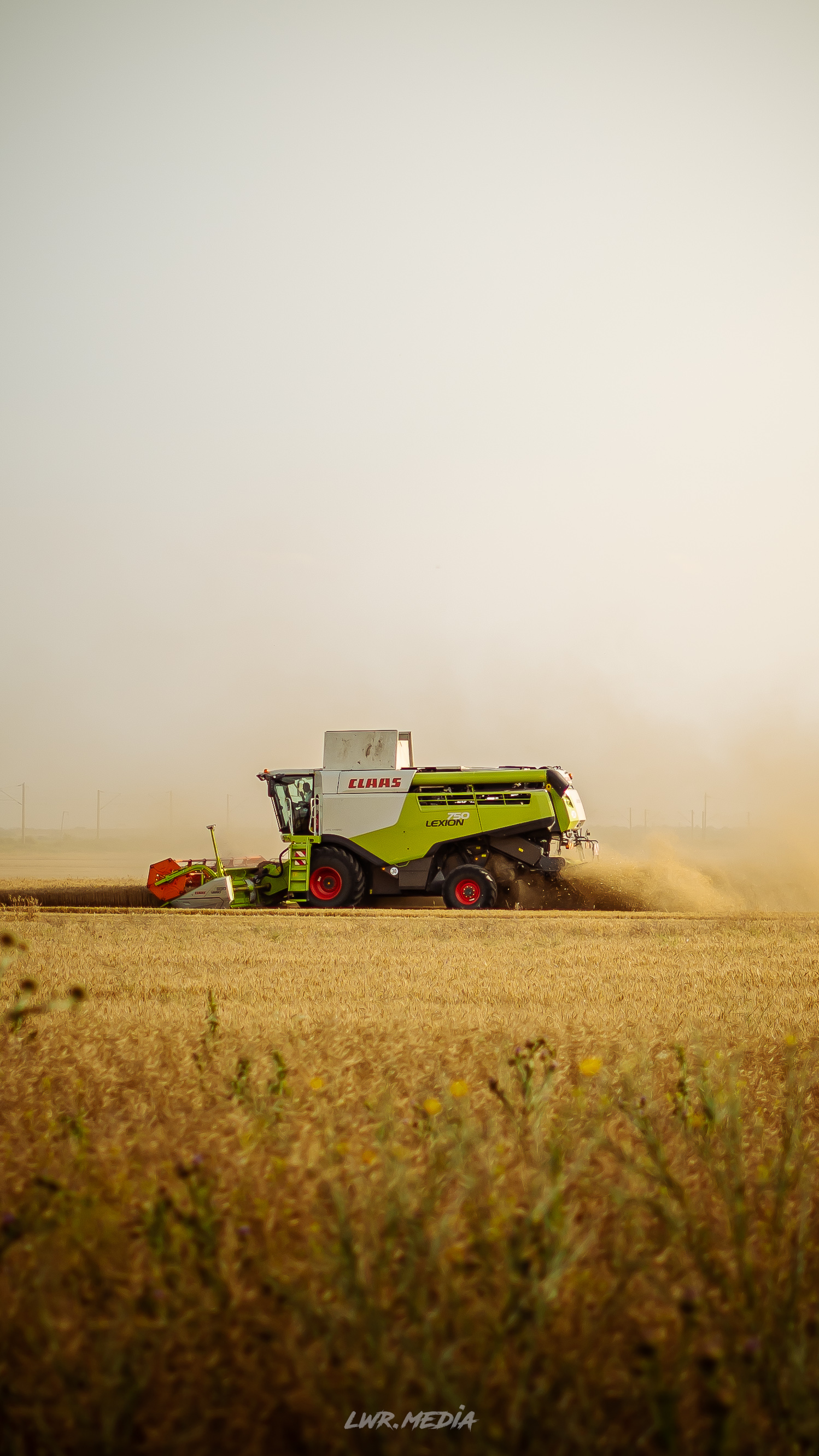 Fotografie din colectia personala 12