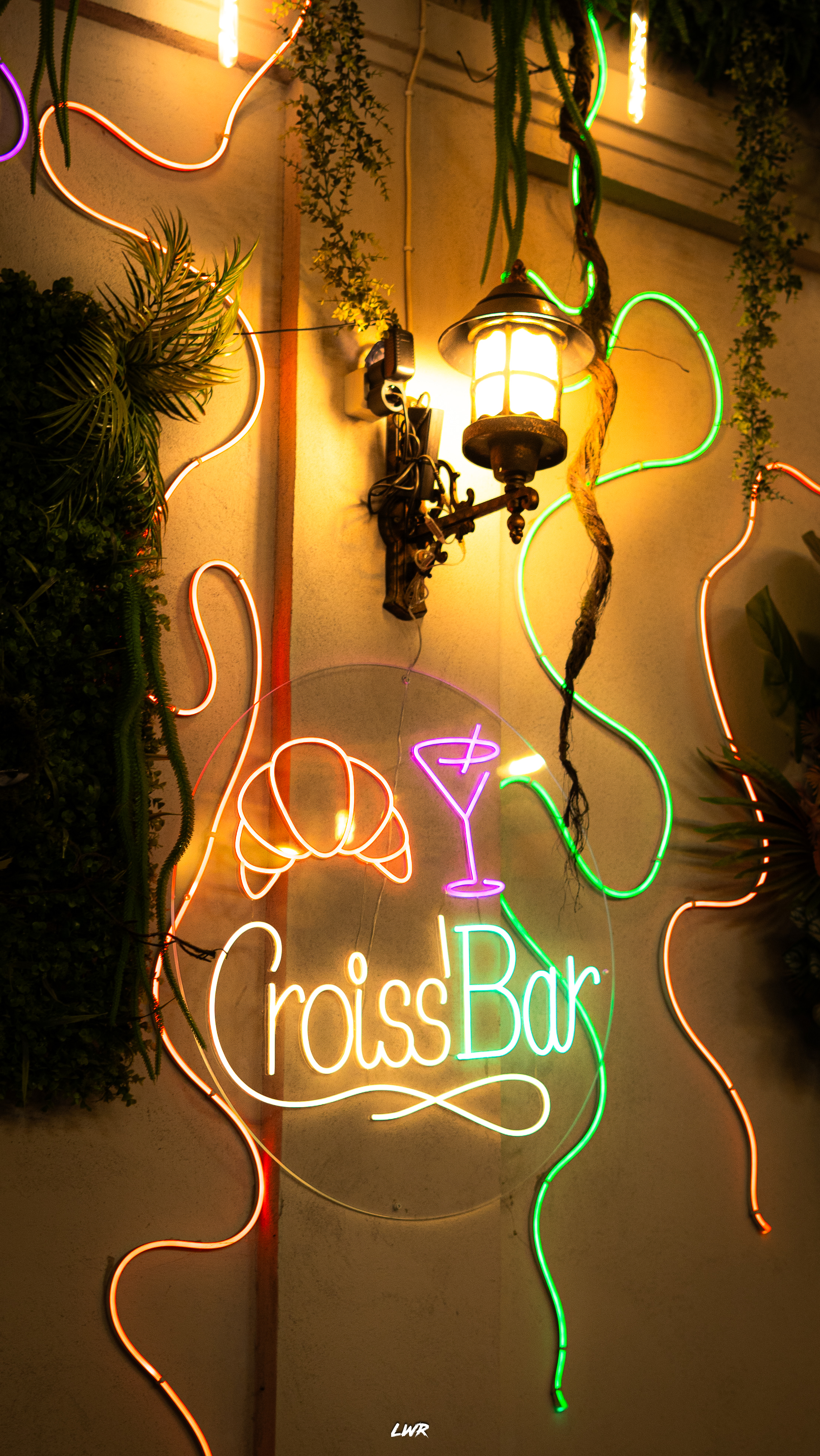 Fotografie din colectia personala 31