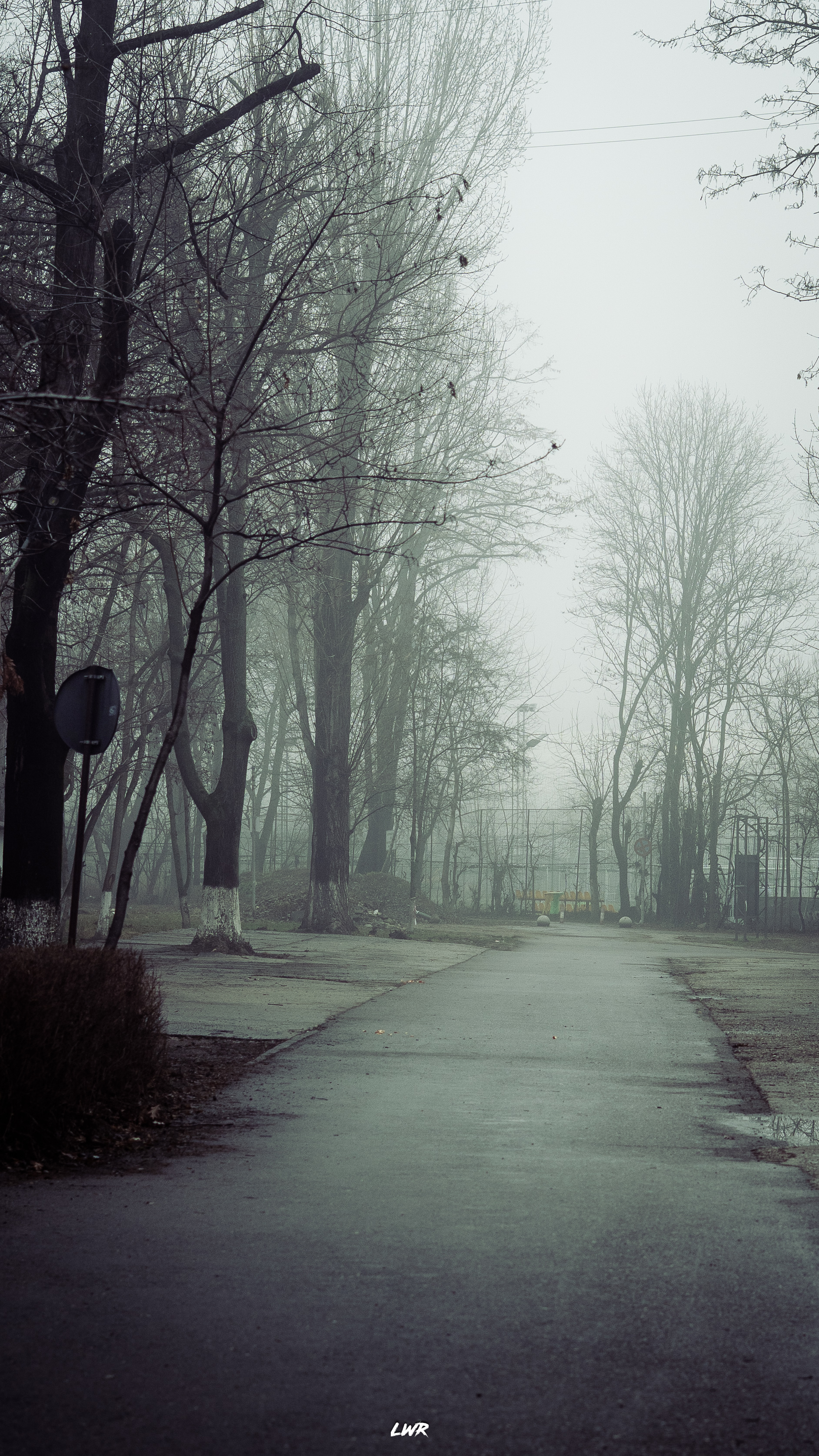 Fotografie din colectia personala 35