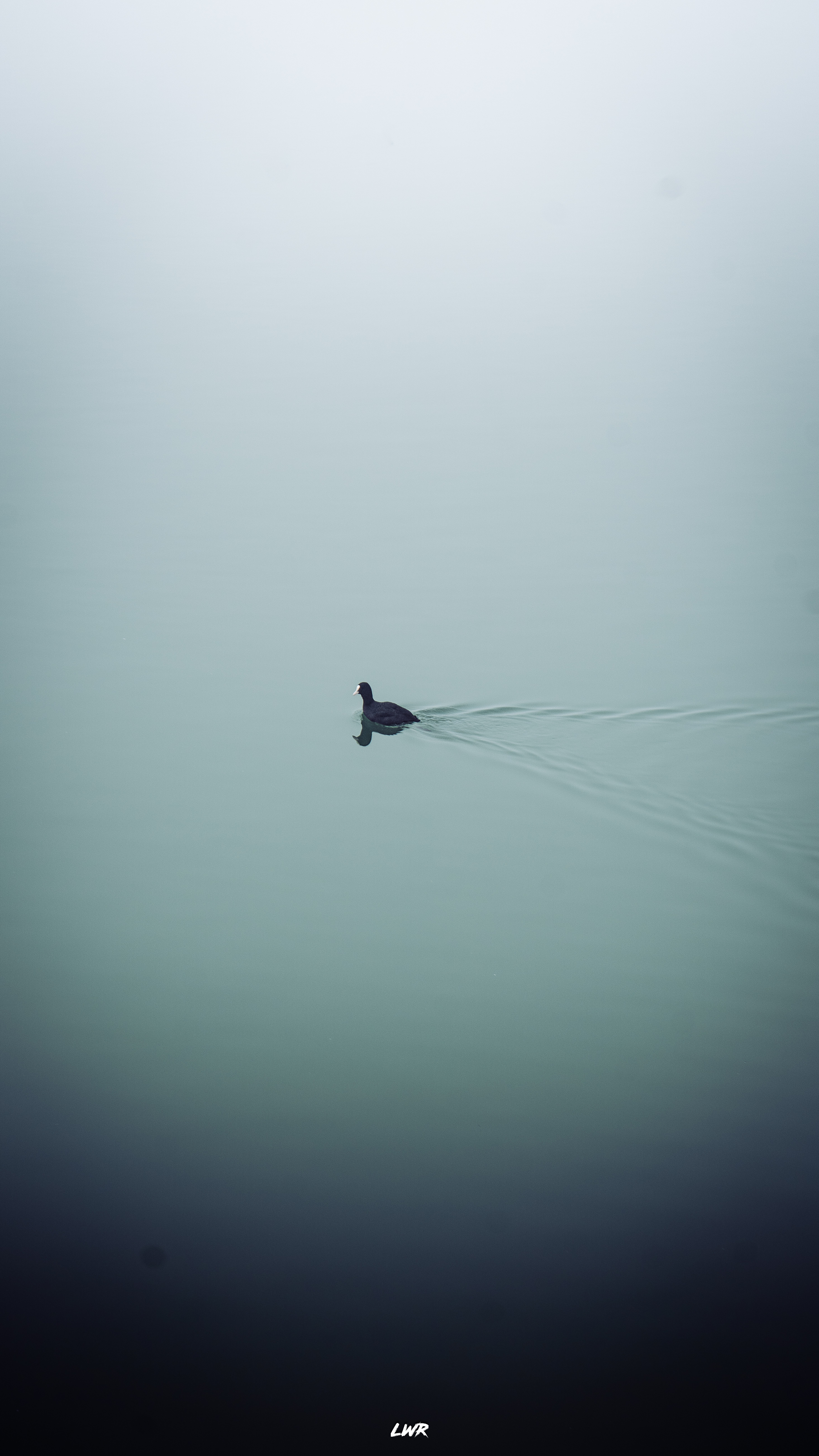 Fotografie din colectia personala 37