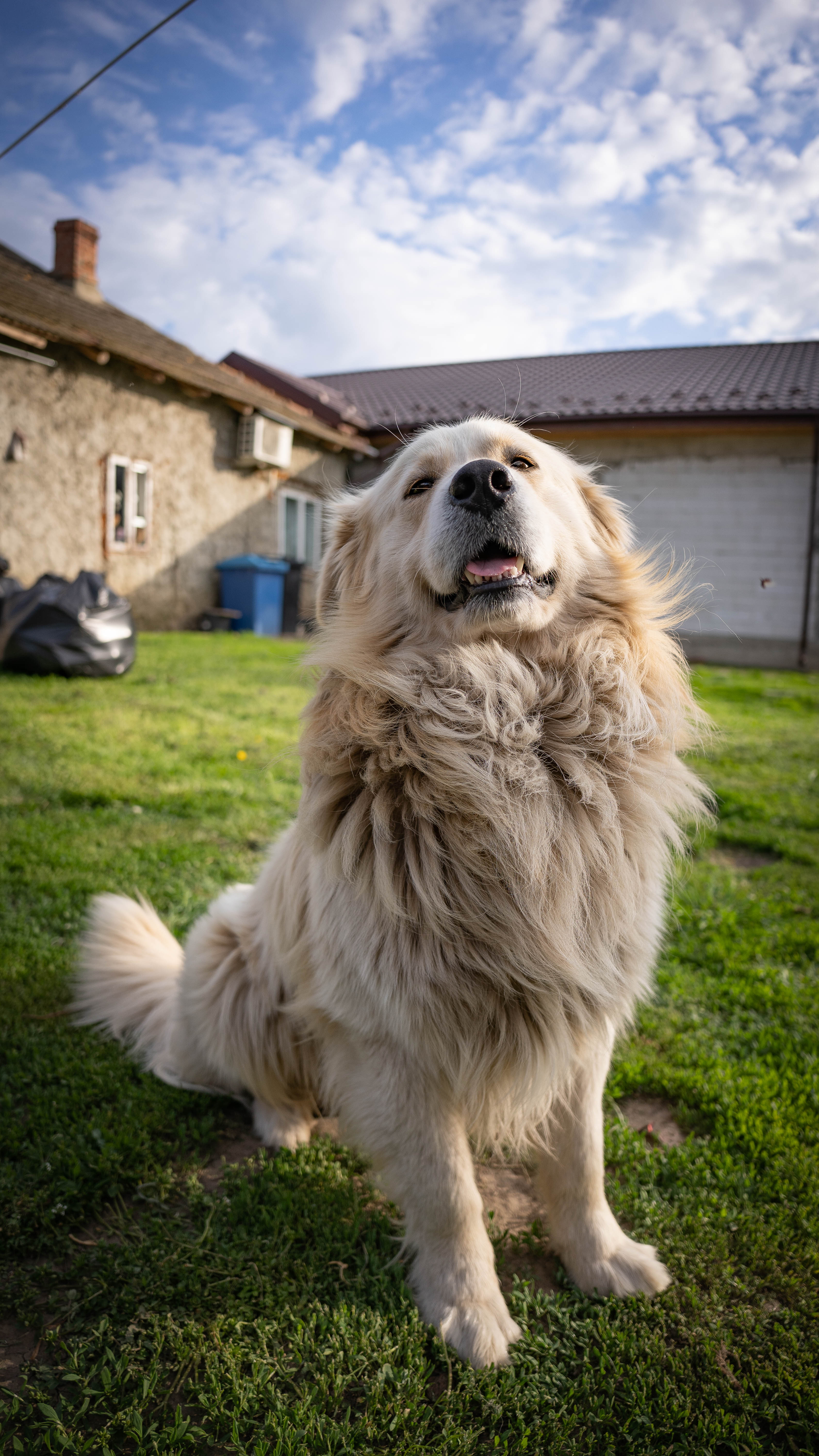 Fotografie din colectia personala 42