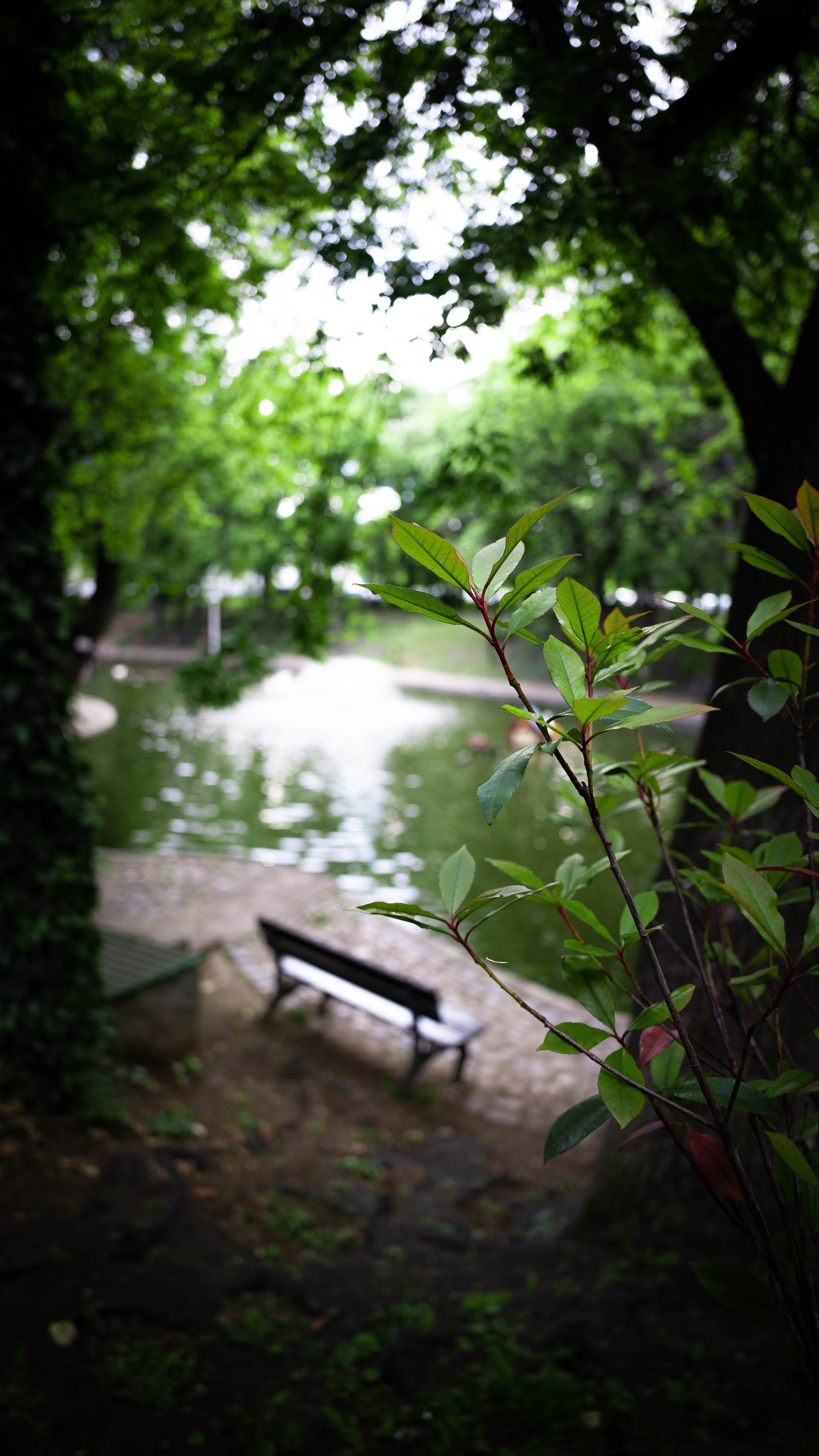 Fotografie din colectia personala 40
